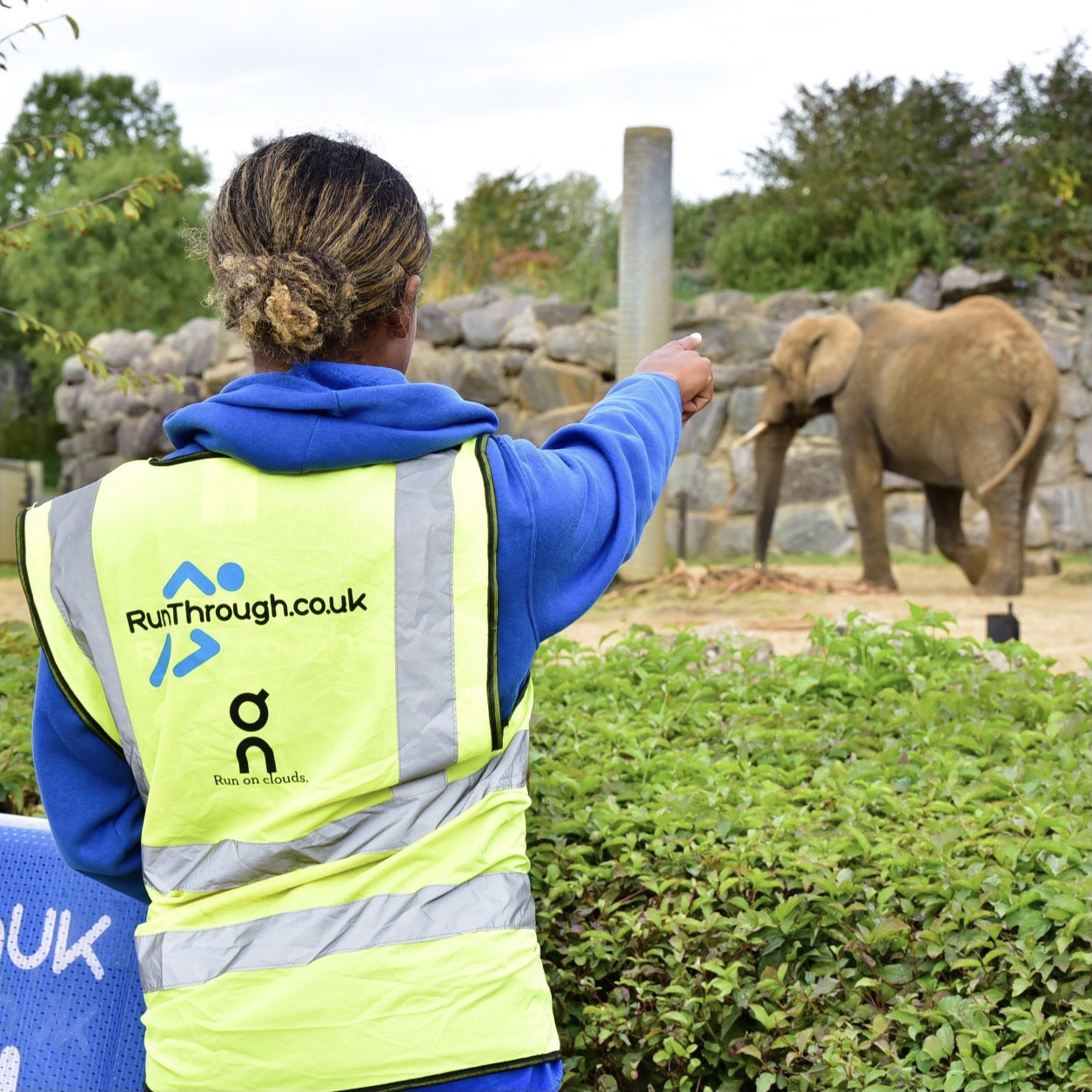 Colchester Zoo 10k & Half Marathon